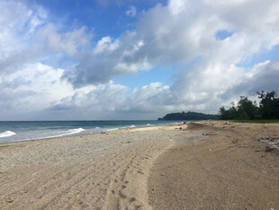 美丽沙滩海景风光画面