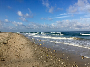 美丽海滨沙滩与海浪景色
