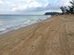 宁静沙滩与海浪景观