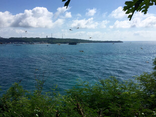 俯瞰碧海蓝天绿树美景
