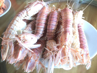 新鲜美味的皮皮虾