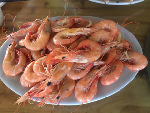 一盘鲜美的熟虾