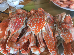 新鲜大螃蟹 美味诱人