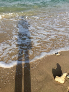 海边沙滩上的人影与贝壳