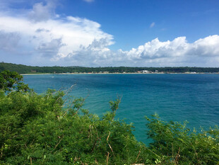 海边葱郁植被与湛蓝海景