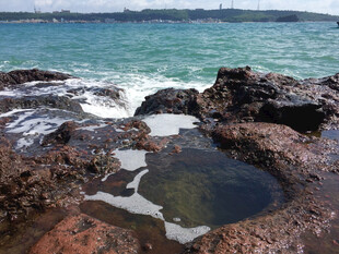 海边礁石与海水小水洼