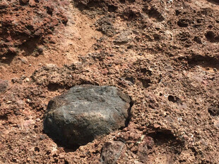 泥土中的黑色圆形物体