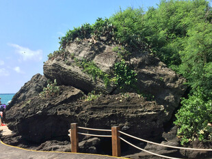 海边嶙峋岩石与葱郁植被