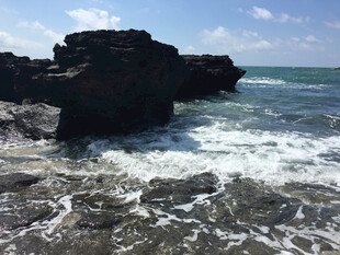 海边礁石与翻涌的浪花