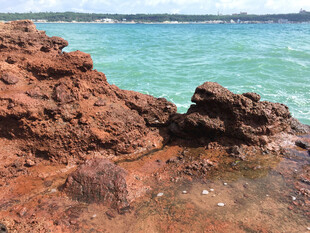 海边红褐色礁石景观