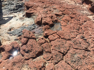 干裂的红褐色土地