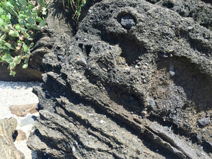 海边嶙峋岩石特写