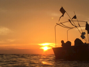 海上渔船迎落日美景