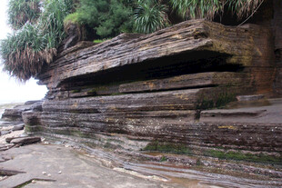 海边层叠岩石景观