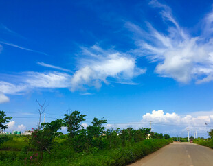 蓝天白云下的乡间小路