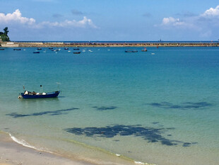 碧海轻舟的美丽海滨风光