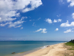 美丽海滨风光 宁静沙滩