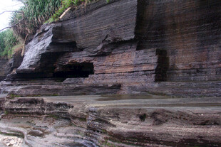 海边嶙峋岩石景观