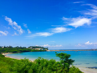 海滨美景 蓝天绿树与碧海