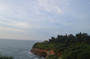 海边葱郁崖岸风景