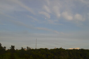 黄昏下的树林与天空