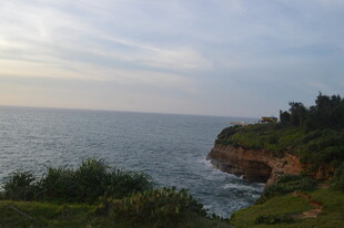 海岸风光 绿意与碧海相映