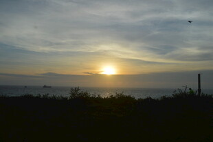 日落时分的美丽天际线