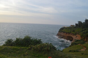 海岸风光 绿意与碧海相映