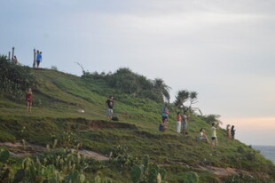 山坡上劳作的人群