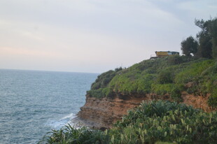 海岸边的绿意悬崖景观