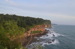 海岸边的葱郁峭壁与海浪