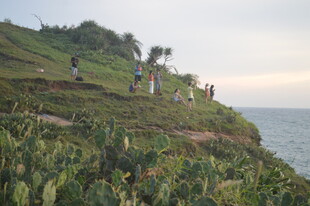 海边山坡众人漫步赏景