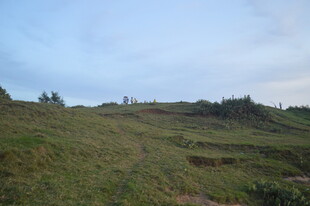 绿意盎然的开阔山坡景色