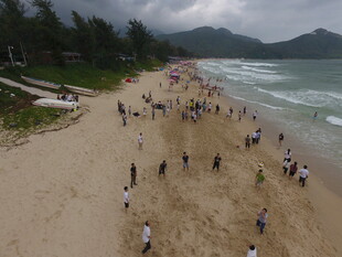 热闹的海滨沙滩场景
