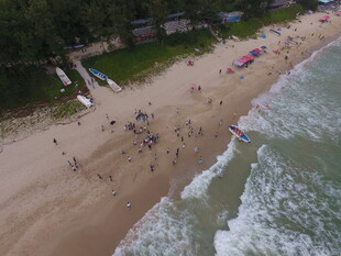 热闹海滩上的人群与海浪