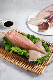 新鲜鱿鱼