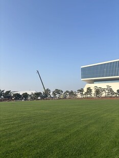 开阔草坪旁的现代建筑