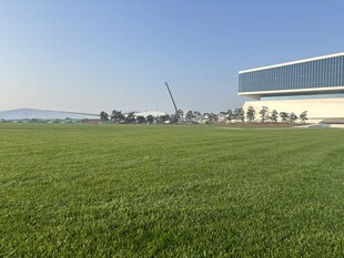 广阔绿草地旁的现代建筑