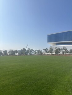 广阔绿茵场与现代建筑