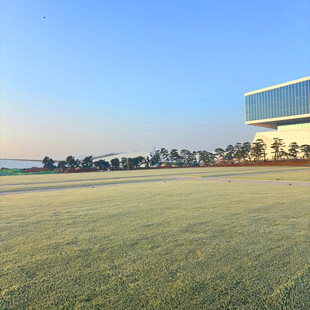 海滨草地旁的现代建筑