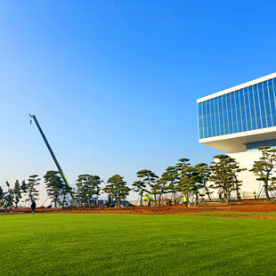 现代建筑旁的翠绿草坪