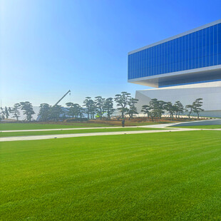 现代建筑旁的翠绿草坪