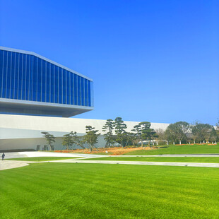 现代建筑旁的开阔绿茵地