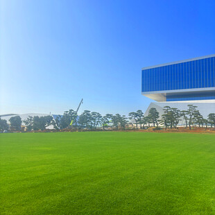 现代建筑旁的翠绿大草坪