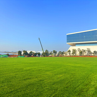 绿茵场地旁的现代建筑