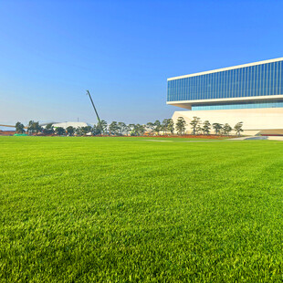 绿茵之上的现代建筑景观