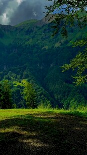 山间绿野云影徘徊