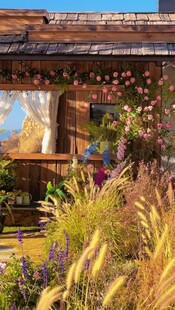 乡村小屋旁的秋日植物景观