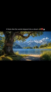 湖畔大树下的美丽自然风景