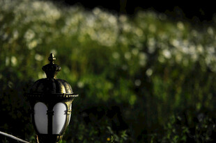 草丛中的复古风小路灯